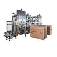 Filling machine with 2 heads BIB 700automaticbag-in-boxfor bulk materials