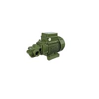 Gear pump CFfor clear waterelectricstationary