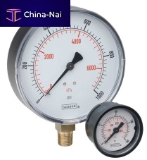 Dial pressure gauge 100 threadedbrassBourdon tube