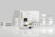 Genetic mutation test kit EGFR XL StripAssay®for lung cancerfor genotypingfor pharmacogenetics