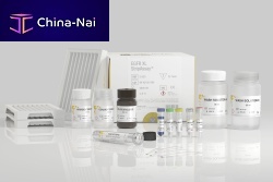 Genetic mutation test kit EGFR XL StripAssay®for lung cancerfor genotypingfor pharmacogenetics