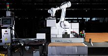 Robotic palletizer CoboAccess_Pal seriescasefor cardboard boxesfor dairy products