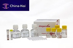 Tumour detection test kit MagMeDIPgeneticplasmacell