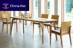 Contemporary table DWELLERoakrectangular