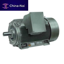 High-voltage motor Y2asynchronousIP55IP54