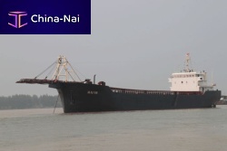 Bulk carrier cargo ship SELF UNLOADING