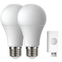 LED bulb STARTER