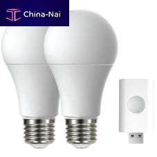LED bulb STARTER