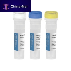 Solution reagent kit 01-16-KIT-0000SDNA polymerasefor researchdiagnostic