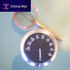 Capillary thermostat LP seriesACwith temperature probe