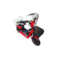 Performance testing device automaticfor electric vehiclesbrake