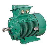 Three-phase motor FLSESinduction230 V690 V