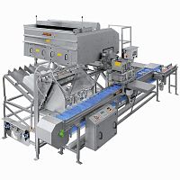 Continuous weighing machine AVN 112-CW 12EV-Kfor the food industrywith vibratory feederstainless steel