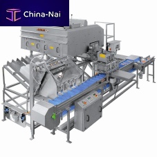 Continuous weighing machine AVN 112-CW 12EV-Kfor the food industrywith vibratory feederstainless steel