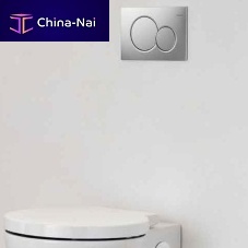 Double toilet flush button SIGMA01