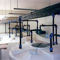 Organic waste treatment plant radioactiveautomated