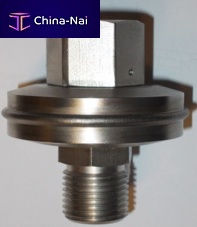 Diaphragm seal with threaded connection S1 serieshygienicmeasurement
