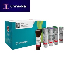 Cervical cancer test kit Anyplex II for sexually transmitted diseasesfor genotypingfor genes