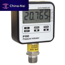 Pressure gauge with LCD display P100 seriesthreadedelectronictest