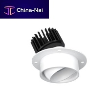 Surface mounted downlight EYECONIC LEDroundIP65