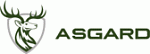��� �������� Asgard Motors
