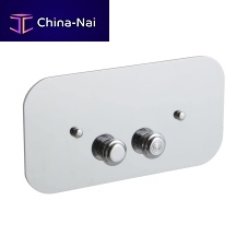 Double toilet flush button PLGB02