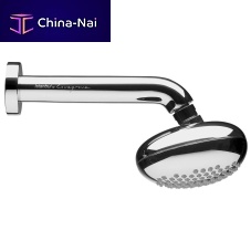 Wall-mounted shower head A4800623EXP | A48006EXPoval
