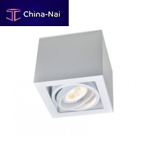 Ceiling-mounted spotlight LUK FREIRLEDsquarerectangular