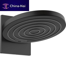 Wall-mounted shower head 260 2JETroundraincommercial