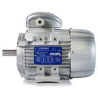 Three-phase motor DELPHI 56 -132asynchronousIP55IP66
