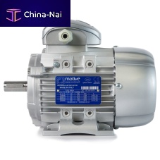 Three-phase motor DELPHI 56 -132asynchronousIP55IP66