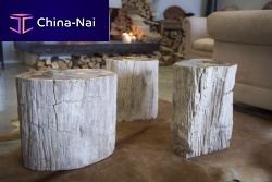 Contemporary side table petrified woodsquarefor hotel