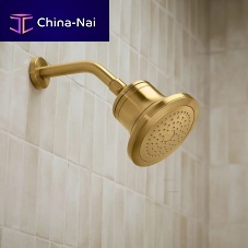 Wall-mounted shower head Cinqroundrain