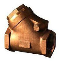 Swing check valve threaded