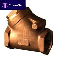 Swing check valve threaded