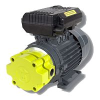 Gear pump TZ10I seriesoilelectricstationary