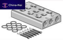 Multi-channel manifold E-V MANIFOLD