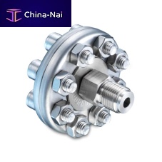 Diaphragm seal with threaded connection DT1 for pressure gaugesprocess