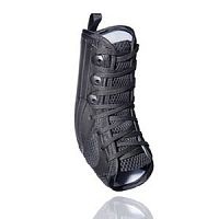Ankle orthosis DynamicsLMS