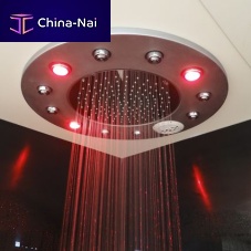 Recessed ceiling shower head FOUR SEASONSroundrainwith built-in light