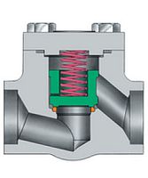 Swing check valve steelcryogenic