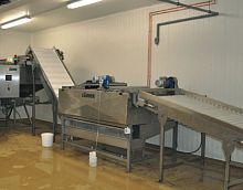 Fruit processing line Z450