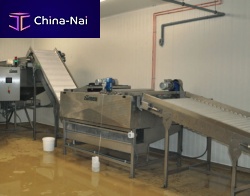 Fruit processing line Z450