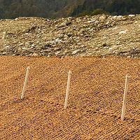 Wooden fastening system SECUMAT® GREEN PINWsoil reinforcing