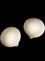 Contemporary wall light EULAindoorporcelainLED
