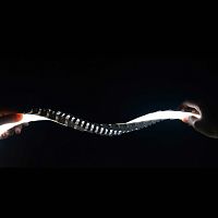 Neon strip light SIGNUVIP67silicone