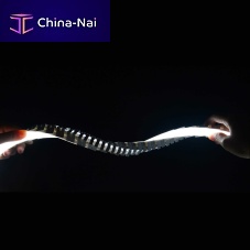 Neon strip light SIGNUVIP67silicone