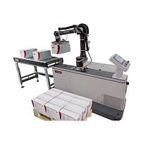 Box palletizer RC12cartonfor the food and beverage industryfood