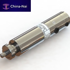 Linear actuator MAS-D16 serieselectriclead screwservo-motor