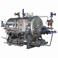 Superheated steam steam generator VL-INOXsuperheated waterthermal fluidhorizontal